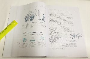 Бизнес-процессы: как их описать, отладить и внедрить