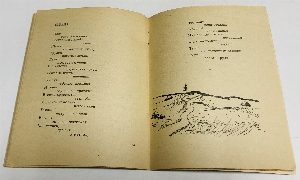 Пристрастие. Сборник стихов.