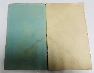 Guide pratique illustré de Versailles. La Société des fêtes Versaillaises