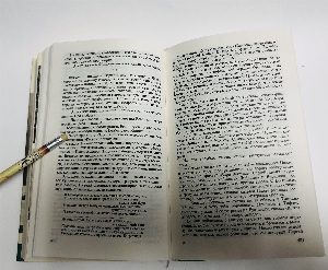 Сергей Есенин.