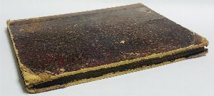 Лопастные насосы (центробежные помпы)