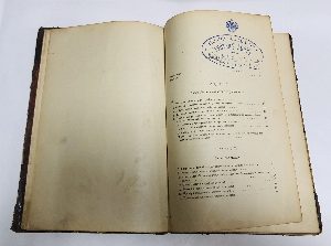 Лопастные насосы (центробежные помпы)