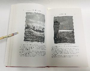 Vingt mille lieues sous les mers. 20 тысяч лье под водой. Том 1