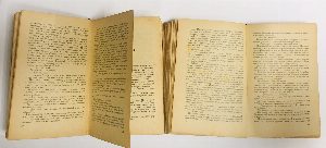 Каменный пояс. Книга первая Демидовы. Книга вторая Наследники. Исторический роман.