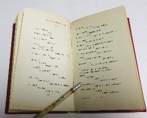 Стихи о молодежи.
