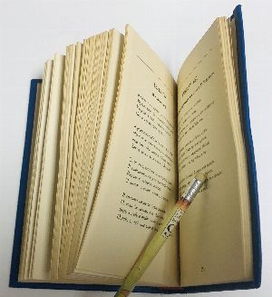 Жизнь и сердце - флот. Сборник воспоминаний.