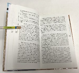 Вожделение.Повесть в рассказах.