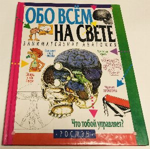 Занимательная анатомия, или что тобой управляет...