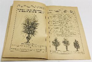 Haupt-Catalog der Kunstblumen-fabrik und makartbouquetbinderei