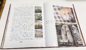 Созвездие Московского меридиана. Подмосковье - Москва. 850. Иллюстрированный энциклопедический сборник.