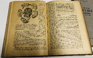Основы акушерства в 2х томах, т.1-2 (комплект)