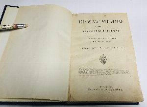 Князь Илико, маленький кавказский пленник. Рассказ для юношества.