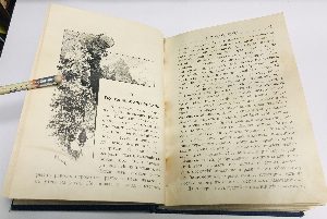 Князь Илико, маленький кавказский пленник. Рассказ для юношества.