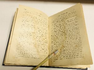 Князь Илико, маленький кавказский пленник. Рассказ для юношества.