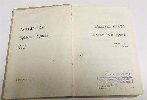Бронзовые врата.