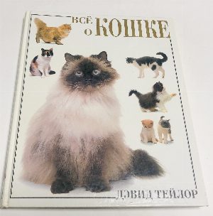 Все о кошке.