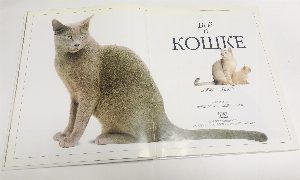 Все о кошке.