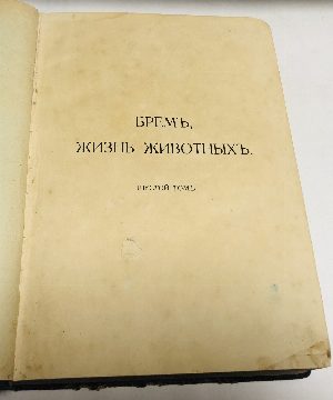 Жизнь животных.