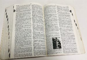 Longman Dictionary of English Language and Culture.