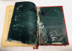 Полное собрание сочинений Н. В. Гоголя в одном томе. С жизнеописанием писателя, портретами, рисунками, относящимися к его жизни и с 32 отдельными картинами художника В. А. Табурина.