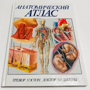Анатомический атлас.