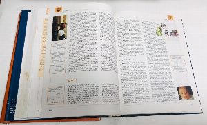 Энциклопедия для детей Аванта. Том 18. Человек. Ч. 1  Происхождение и природа человека. Как работает тело. Искусство быть здоровым. Ч.2. Архитектура души. Психология личности. Мир взаимоотношений..