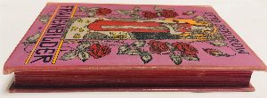 Frauenbilder aus der neueren deutschen Litteraturgeschichte. Mit elf Bildnissen in Lichtdruck / Женские образы из новейшей истории немецкой литературы. С одиннадцатью портретами в световой печати
