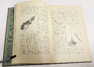 Licht und Kraft. die Elektricitat und ihre Anwendung im taglichen Leben  Ein Handbuch fur jederman / Свет и сила