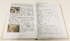 Моя правда. Моя совесть (сборник статей)