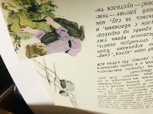 Сазаны.