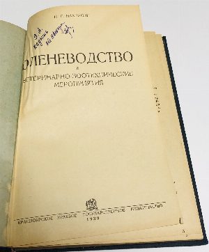 Оленеводство.