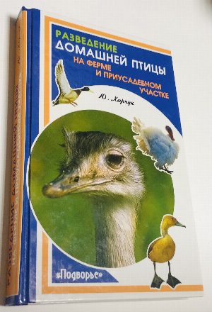 Разведение домашней птицы на ферме и приусадебном участке.