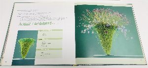 Floral Art Structures en art floral / Флористические художественные структуры.