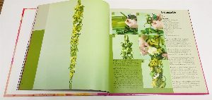 Hochzeitsfloristik/ Лучшая флористика