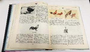 Мир животных: 1 - Птицы. Рыбы, земноводные и пресмыкающиеся. 2 - Беспозвоночные ископаемые животные. 3 - Насекомые. Пауки. Домашние животные. 4 - Млекопитающие, или звери