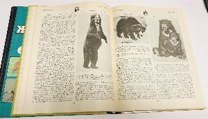 Мир животных: 1 - Птицы. Рыбы, земноводные и пресмыкающиеся. 2 - Беспозвоночные ископаемые животные. 3 - Насекомые. Пауки. Домашние животные. 4 - Млекопитающие, или звери