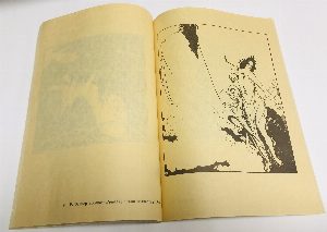 66 избранных рисунков.