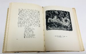 Пушкин в искусстве палеха.