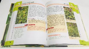Большая иллюстрированная энциклопедия лекарственных растений.