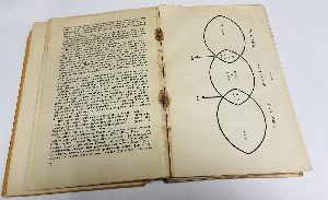 Мастерство Гоголя. Исследование.