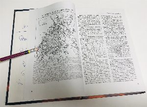 Сотая Воздушно-десантная. Боевой путь дивизии 1943–1945 гг. Раменское – Карелия – Калинин – Вена.