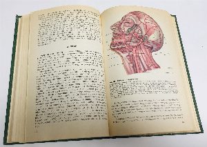 Атлас нормальной анатомии человека.