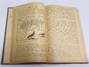 Зоогеография.