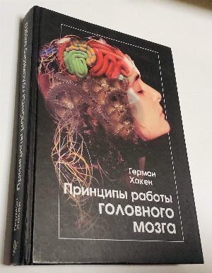 Принципы работы головного мозга.