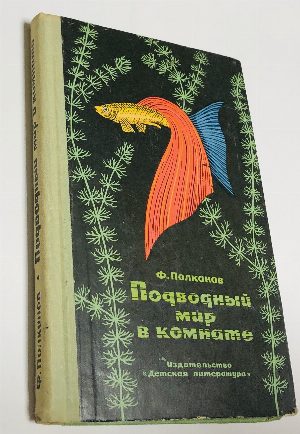 Подводный мир в комнате.