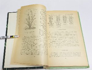 Подводный мир в комнате.
