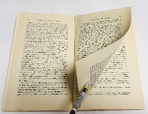 L Appel de l Afrique. Sejour et meditation parmi les elephants et les montagnes du Kenya / Зов Африки