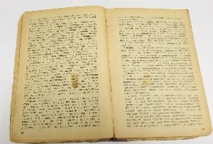 Секретная служба в тылу немцев 1914-1918 гг.