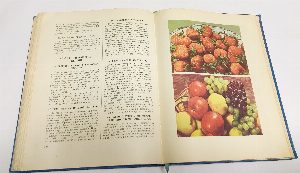 Книга о вкусной и здоровой пище.