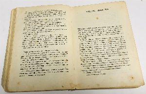 Развороченный муравейник. Эмигрантские рассказы